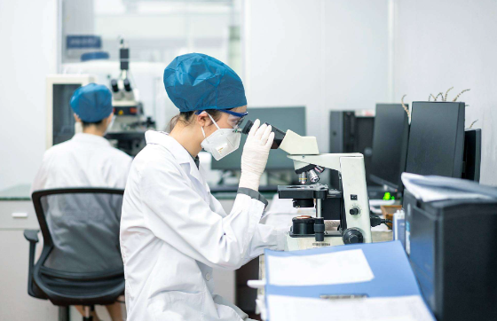 怀孕多久可以去香港验血？香港Y-DNA染色体检测报告要多久出？