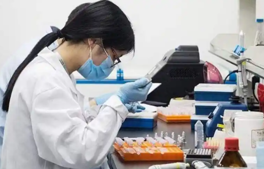 2025香港验血孕5周就能检测宝宝性别，费用多少钱?