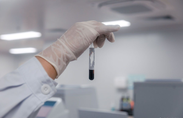 科学辨别胎儿性别的医学方法概述